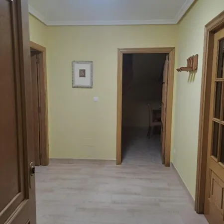 Arca De Noe * Ferreira