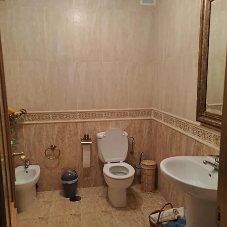 Arca De Noe Ferreira