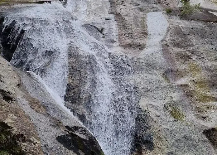 Arca De Noe Apartament