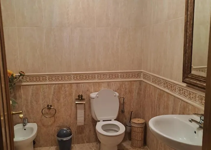 Arca De Noe O Valadouro