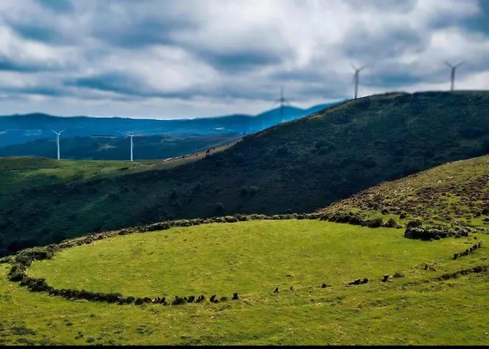 Arca De Noe O Valadouro