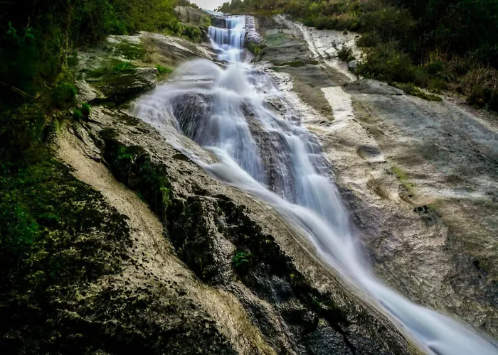 Arca De Noe Apartament